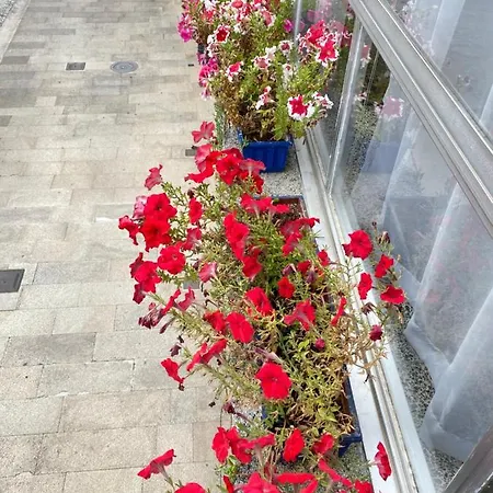 Διαμέρισμα Centro P1 By Urent