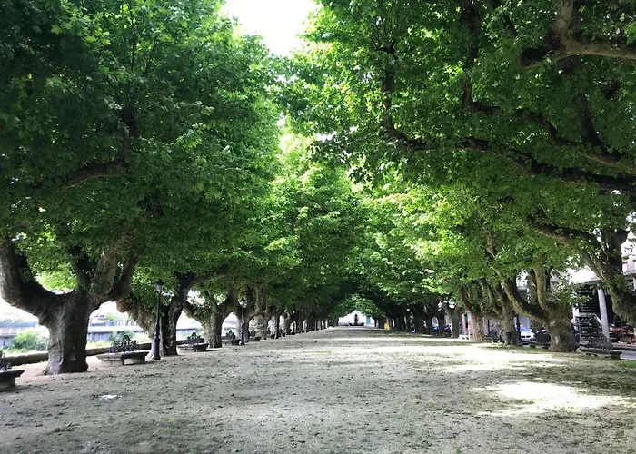 Centro P1 By Urent * Padrón