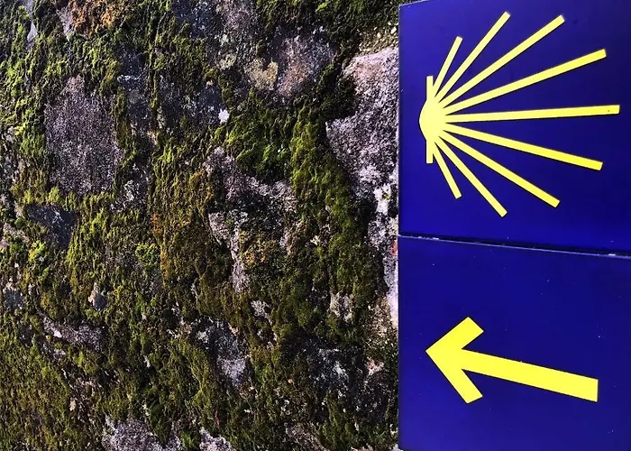 Centro P1 By Urent Apartment