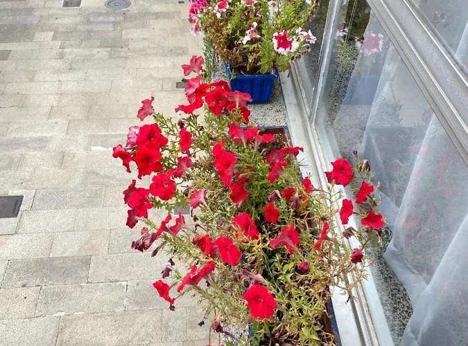 Daire Centro P1 By Urent